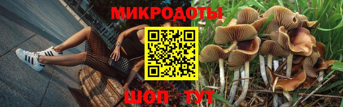 Галлюциногенные грибы Psilocybine cubensis Грозный