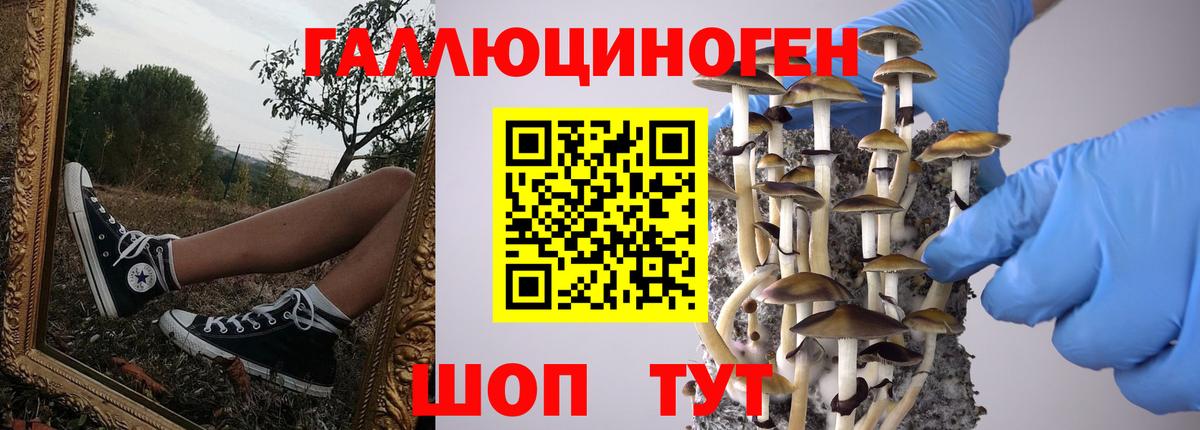 Галлюциногенные грибы мицелий  Вход с VPN  Грозный  Псилоцибиновые грибы Psilocybine cubensis 