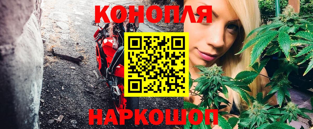 Шишки марихуана OG Kush Грозный